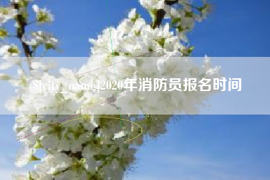 陇南2020年消防员报名时间