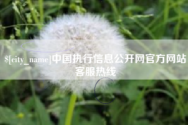 陇南中国执行信息公开网官方网站客服热线