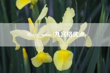 陇南九宫格优点