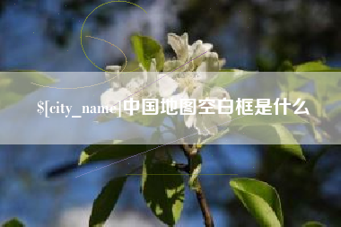 陇南中国地图空白框是什么