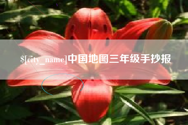 陇南中国地图三年级手抄报