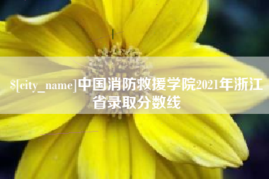 陇南中国消防救援学院2021年浙江省录取分数线