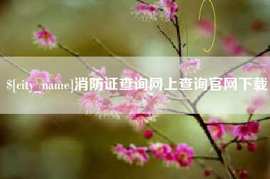 陇南消防证查询网上查询官网下载
