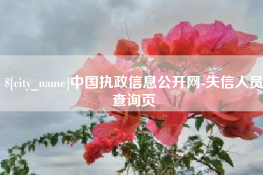 陇南中国执政信息公开网-失信人员查询页