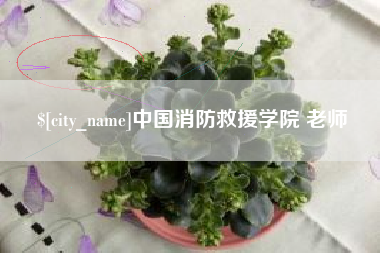 陇南中国消防救援学院 老师