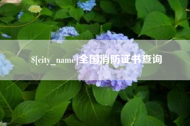 陇南全国消防证书查询