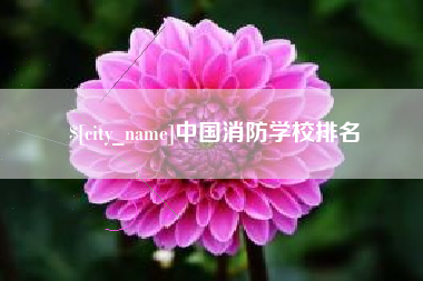 陇南中国消防学校排名