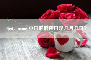 陇南中国的消防日是几月几日？