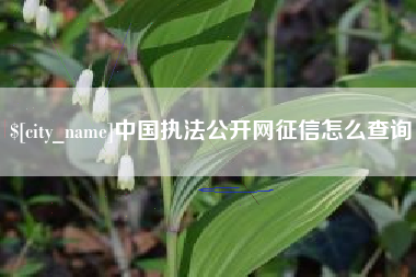 陇南中国执法公开网征信怎么查询