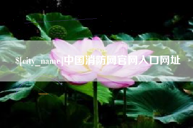 陇南中国消防网官网入口网址