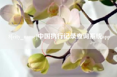 陇南中国执行记录查询系统app