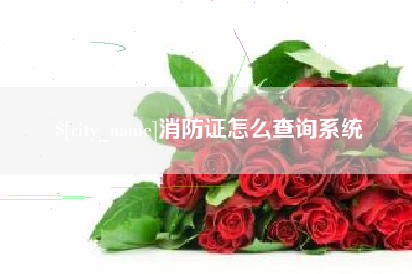 陇南消防证怎么查询系统