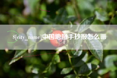 陇南中国地图手抄报怎么画