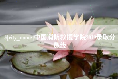 陇南中国消防救援学院2019录取分数线