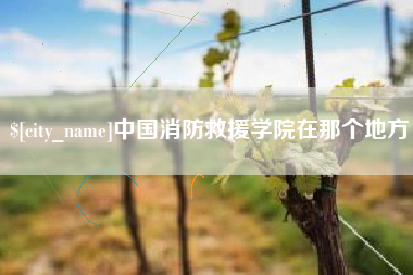 陇南中国消防救援学院在那个地方