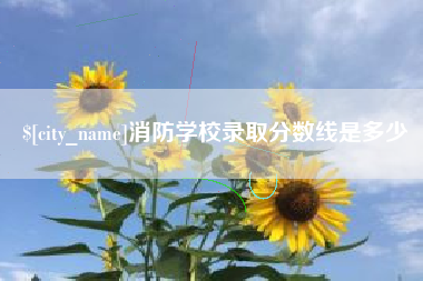 陇南消防学校录取分数线是多少