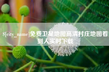陇南免费卫星地图高清村庄地图看到人实时下载