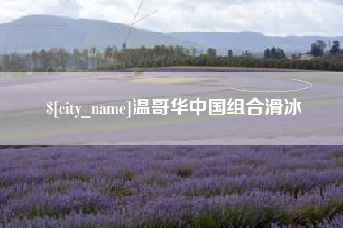 陇南温哥华中国组合滑冰
