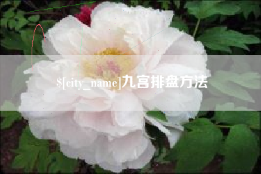 陇南九宫排盘方法