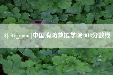 陇南中国消防救援学院2018分数线
