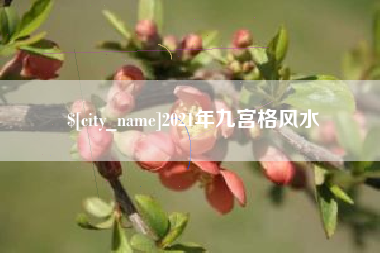 陇南2021年九宫格风水