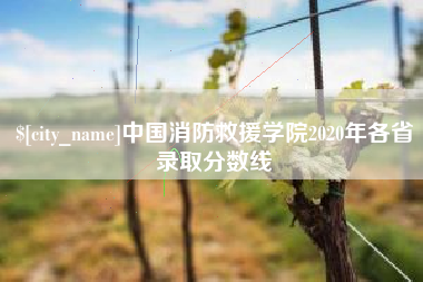 陇南中国消防救援学院2020年各省录取分数线
