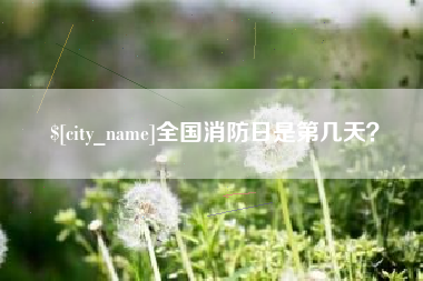 陇南全国消防日是第几天？