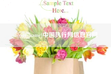 陇南中国执行网信息官网