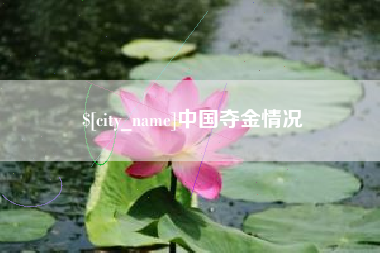 陇南中国夺金情况