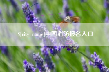 陇南中国消防报名入口