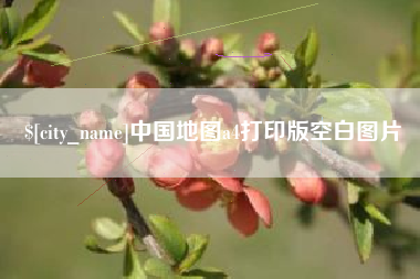 陇南中国地图a4打印版空白图片