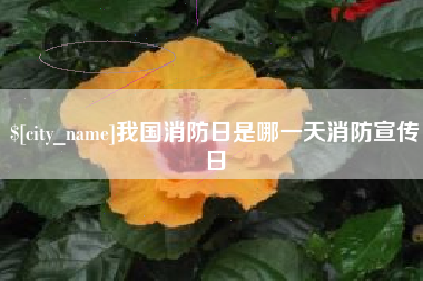 陇南我国消防日是哪一天消防宣传日