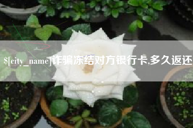 陇南诈骗冻结对方银行卡,多久返还