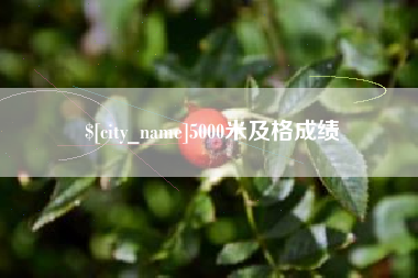 陇南5000米及格成绩