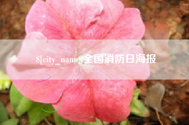 陇南全国消防日海报