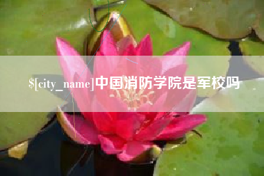 陇南中国消防学院是军校吗