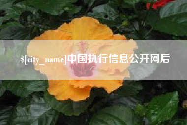 陇南中国执行信息公开网后