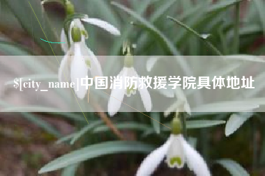 陇南中国消防救援学院具体地址