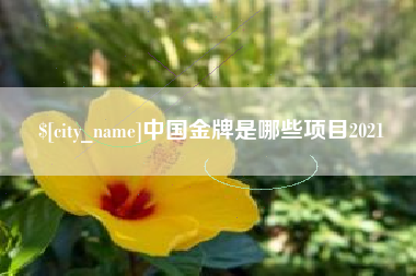 陇南中国金牌是哪些项目2021