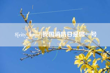 陇南我国消防日是哪一号