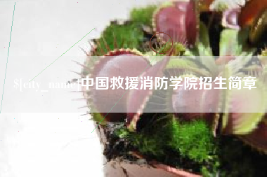 陇南中国救援消防学院招生简章