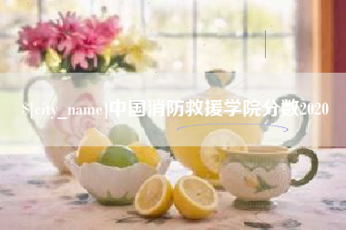 陇南中国消防救援学院分数2020