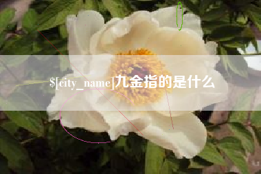 陇南九金指的是什么