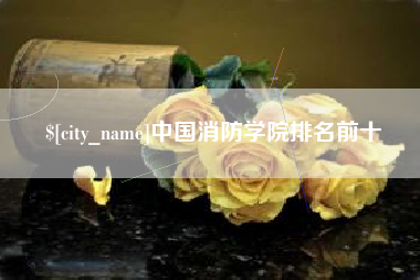 陇南中国消防学院排名前十