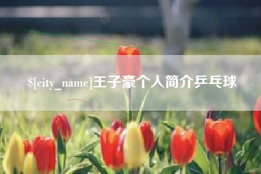 陇南王子豪个人简介乒乓球