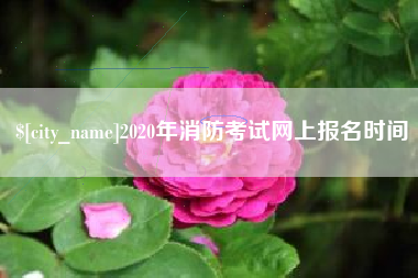 陇南2020年消防考试网上报名时间