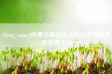 陇南内蒙古自治区消防技术服务执业管理平台