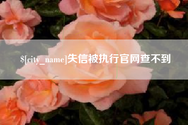 陇南失信被执行官网查不到