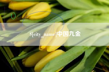 陇南中国九金
