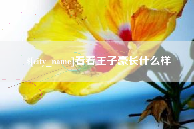 陇南看看王子豪长什么样
